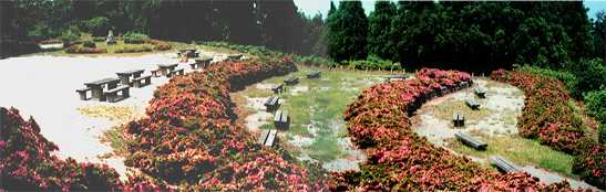 (画像)城山公園の画像