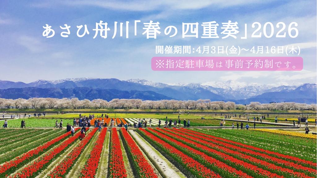 あさひ舟川「春の四重奏」2026