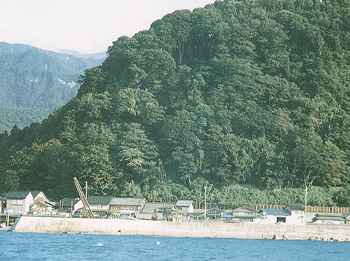 鹿島樹叢の画像