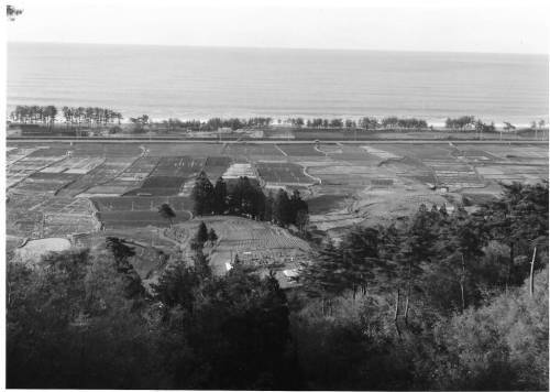 浜山の様子