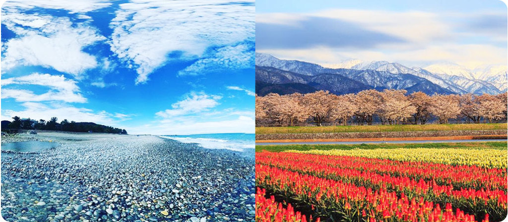 青空と海岸線の画像と赤と黄の花と奥に山の画像